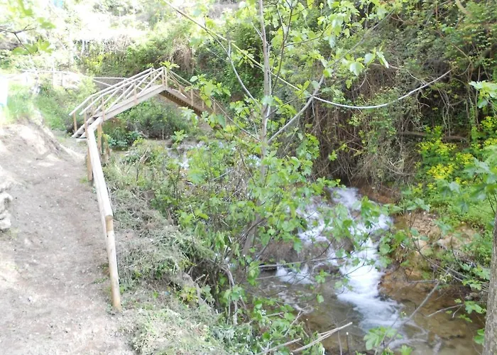 Cazorlapart Cazorla